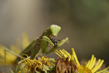 Similar image 21488724