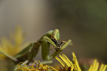 Similar image 21486810