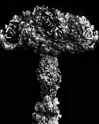 Similar image 21483510