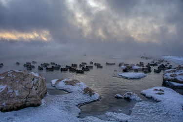 Similar image 21495838