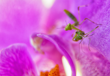 Similar image 21482951