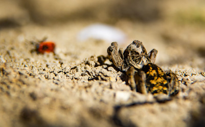 Similar image 21482955