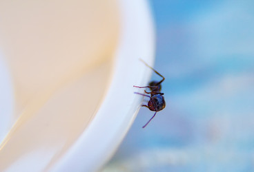 Similar image 21483515