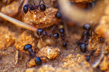 Similar image 21483517