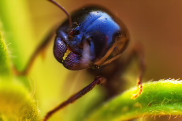 Similar image 21483519