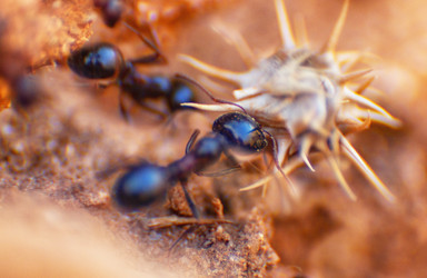 Similar image 21483520