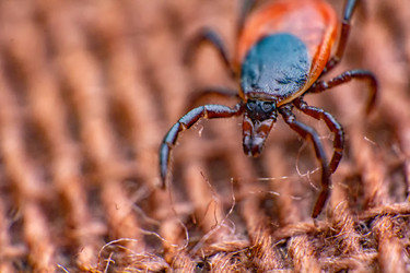 Similar image 21482959