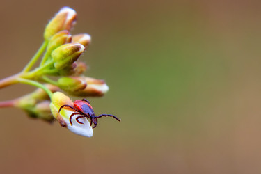 Similar image 21482960