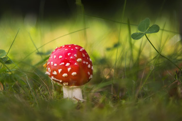 Similar image 21483528