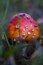 Similar image 21483529