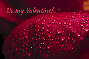 Similar image 21483539