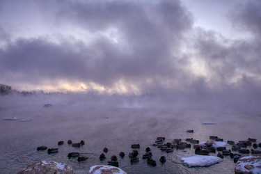 Similar image 21495845