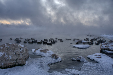 Similar image 21495848