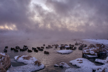 Similar image 21495849