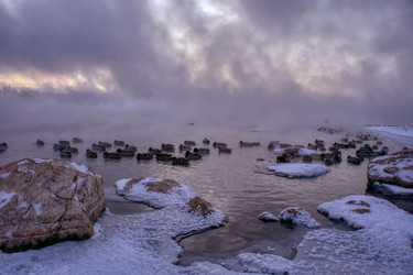 Similar image 21495855