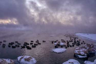 Similar image 21495856