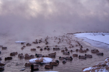 Similar image 21495858