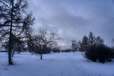 Similar image 21495862