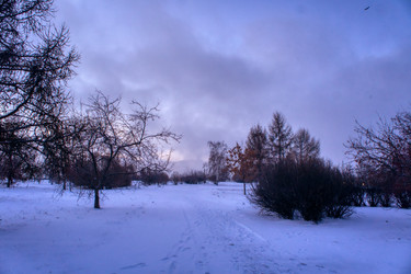 Similar image 21495863