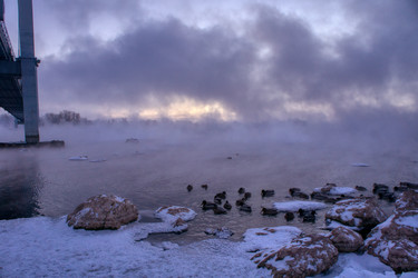 Similar image 21496267