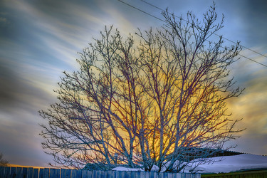 Similar image 21495867