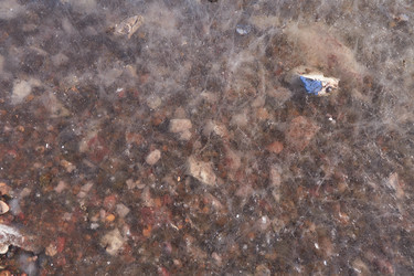 Similar image 21496270