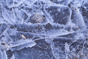 Similar image 21495872