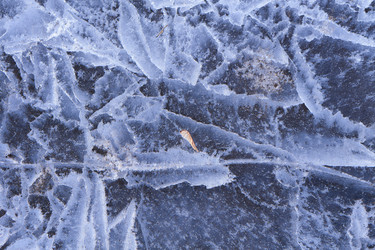 Similar image 21495873