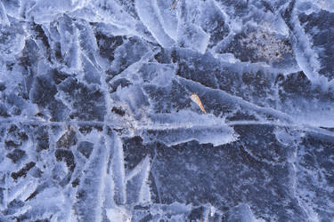 Similar image 21495874