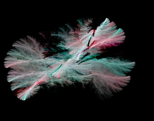 Similar image 21501477