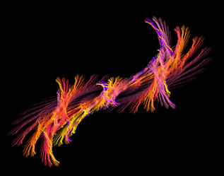 Similar image 21499582