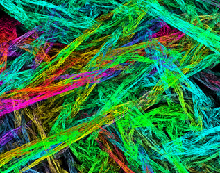 Similar image 21500534