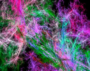 Similar image 21500554