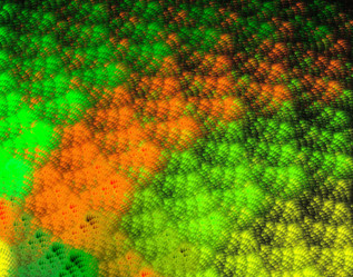 Similar image 21500416