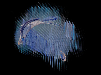 Similar image 21499595