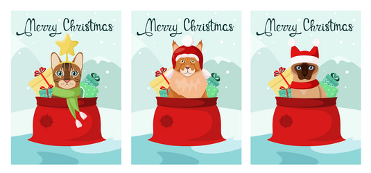 Similar image 21501974