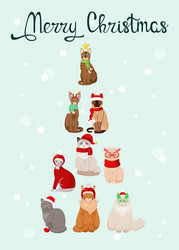 Similar image 21501978