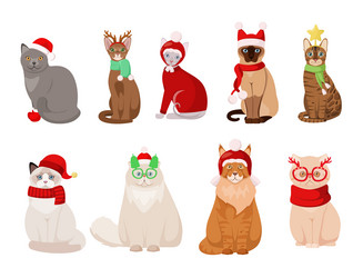 Similar image 21501979