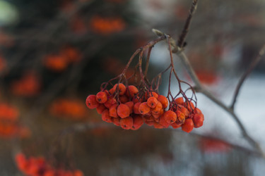 Similar image 21495888