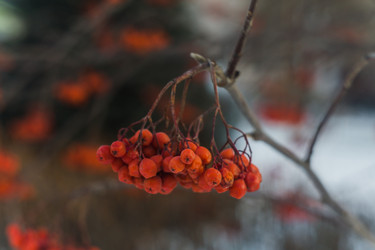 Similar image 21495889