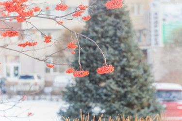 Similar image 21495891