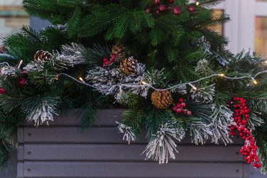 Similar image 21495897