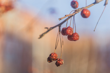 Similar image 21495898