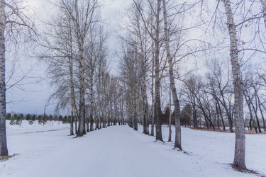 Similar image 21496327