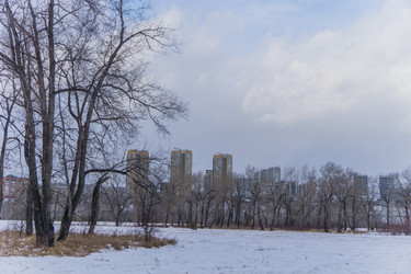 Similar image 21496328