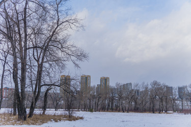 Similar image 21496329