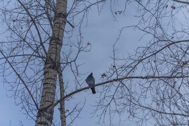 Similar image 21496330