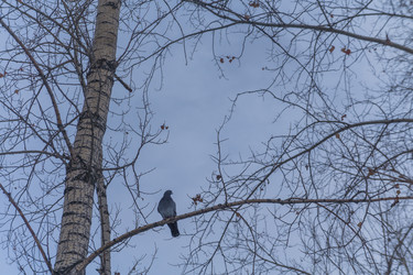 Similar image 21496331