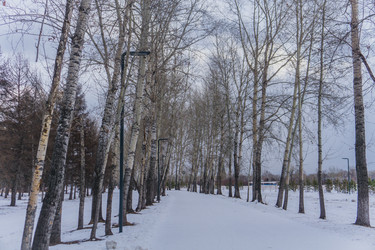 Similar image 21496332