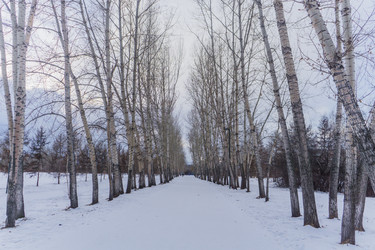 Similar image 21496333